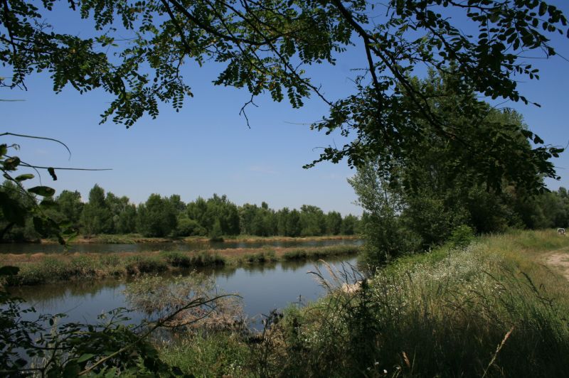 epercieux-bords-loire-2