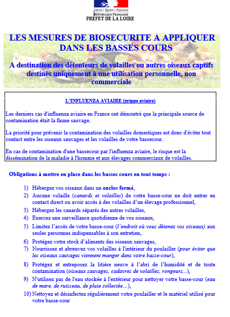 Basse cour