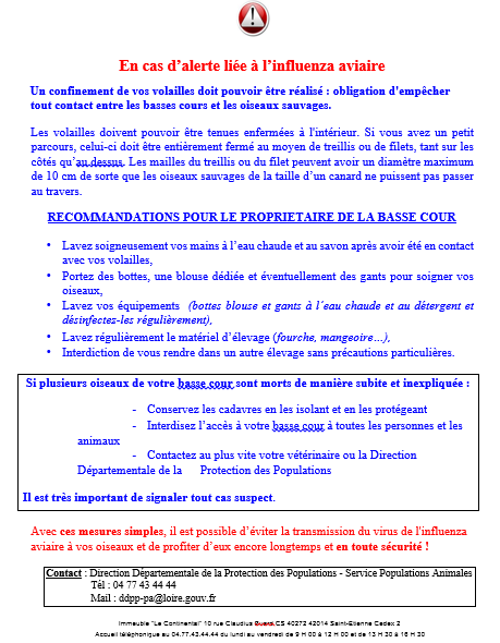 basse cour 2